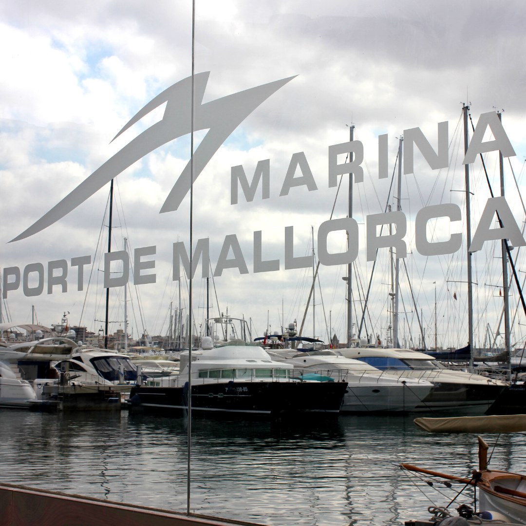 Marina Port Mallorca, Fundación Palma Aquarium, tortugas, medio ambiente, educación ambiental